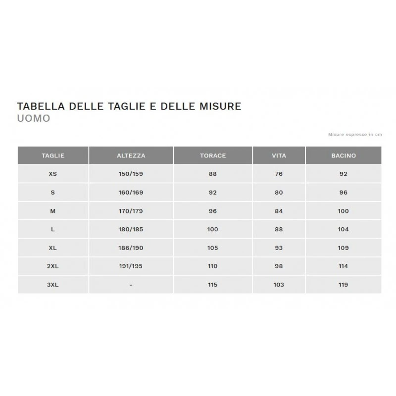 Maglia Ciclismo ALE' Deceuninck-Quickstep Team 2020 4 Maglia Ciclismo ALE' Deceuninck-Quickstep Team 2020 - immagine 2